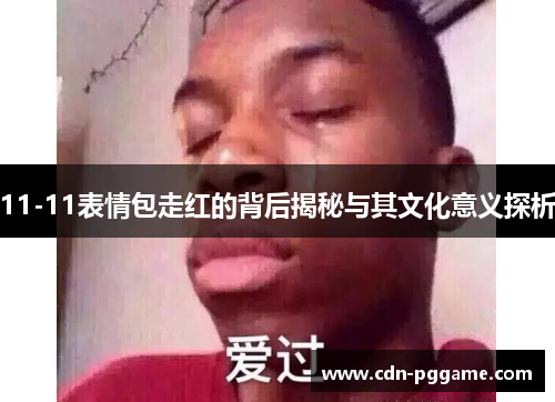 11-11表情包走红的背后揭秘与其文化意义探析