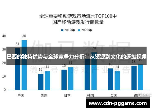 巴西的独特优势与全球竞争力分析：从资源到文化的多维视角