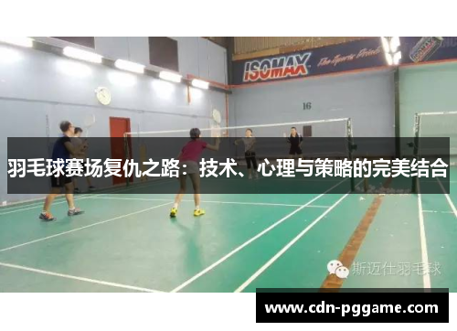 羽毛球赛场复仇之路：技术、心理与策略的完美结合