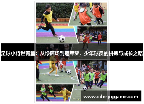 足球小将世青篇：从绿茵场到冠军梦，少年球员的拼搏与成长之路